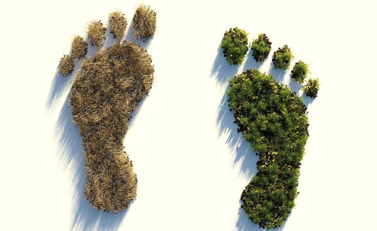 Ökologischen Fußabdruck reduzieren